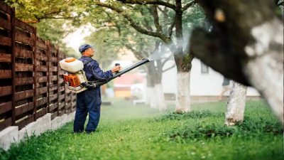 Top Benefits of Hiring a Weed Control Company in Sellersburg, IN